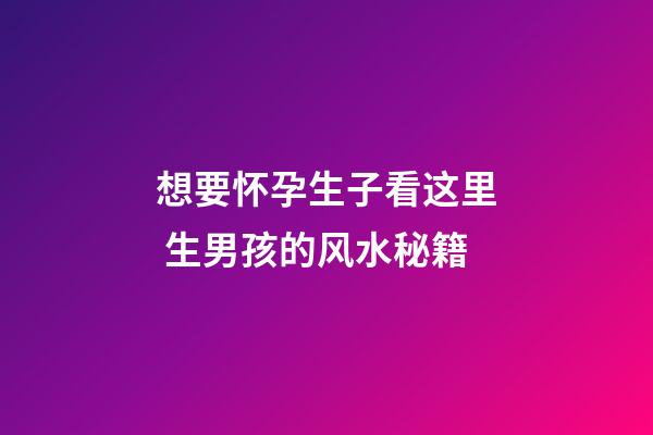 想要怀孕生子看这里 生男孩的风水秘籍